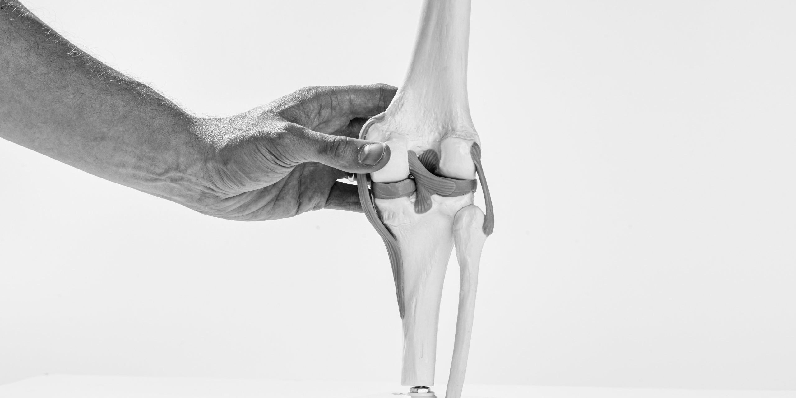 Ponette_egwin_osteopaat_knie