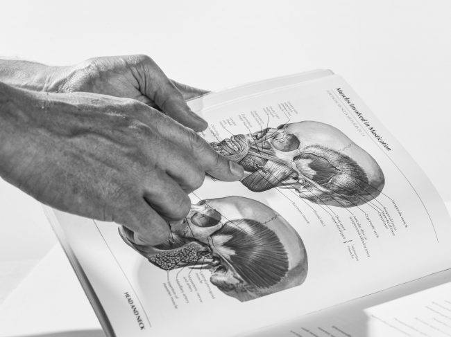 Ponette_osteopaat_hersenen